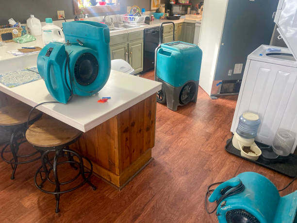Best Flood damage cleanup  in Mineola, NY