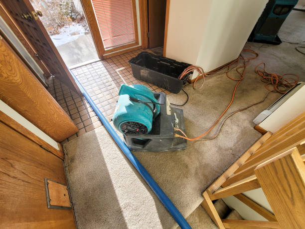 Best Carpet water damage restoration  in Mineola, NY
