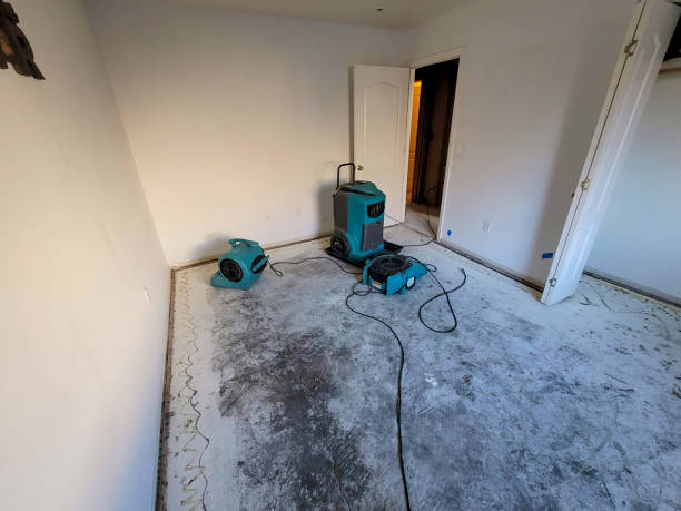 Best Water damage restoration mold remediation  in Mineola, NY