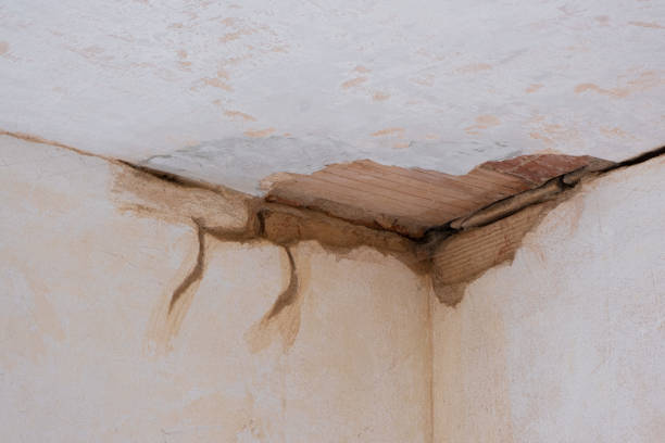 Best Flooded house restoration  in Mineola, NY