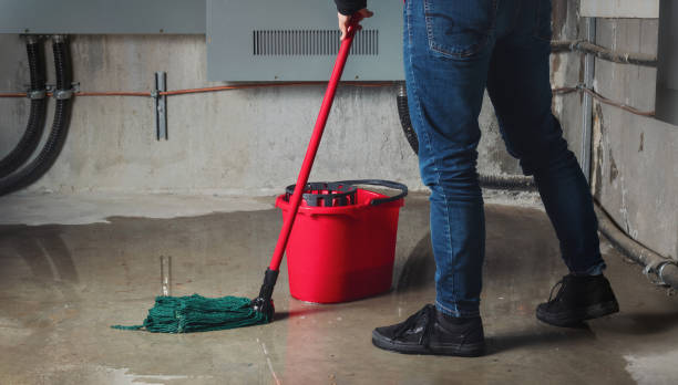 Best Water damage cleanup near me  in Mineola, NY