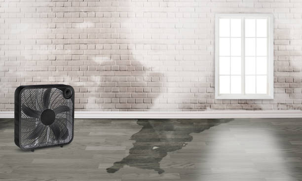Water damage restoration experts in Mineola, NY