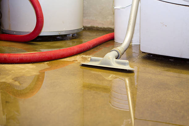 Water damage restoration mold remediation in Mineola, NY