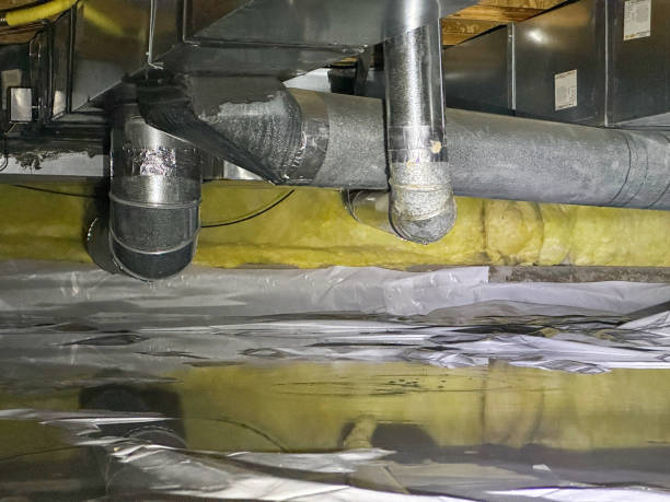 Best Mold removal after water damage  in Mineola, NY