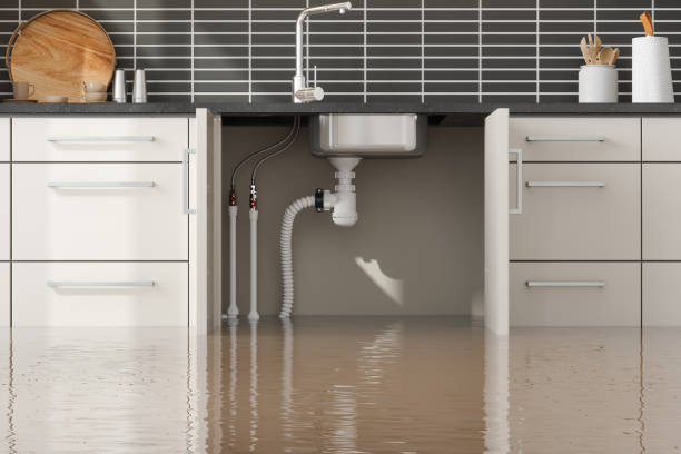 Best Professional water damage repair  in Mineola, NY