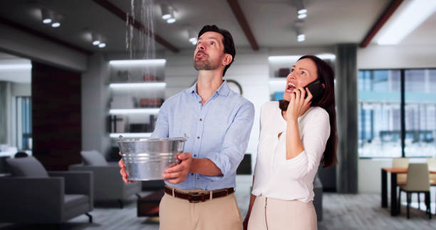 Best Commercial water damage restoration  in Mineola, NY