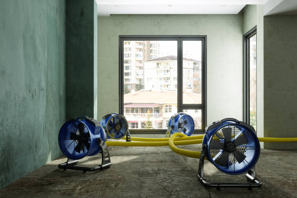 Best 24/7 water damage repair  in Mineola, NY